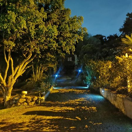 Cabana Vista Verde Cartago Extérieur photo